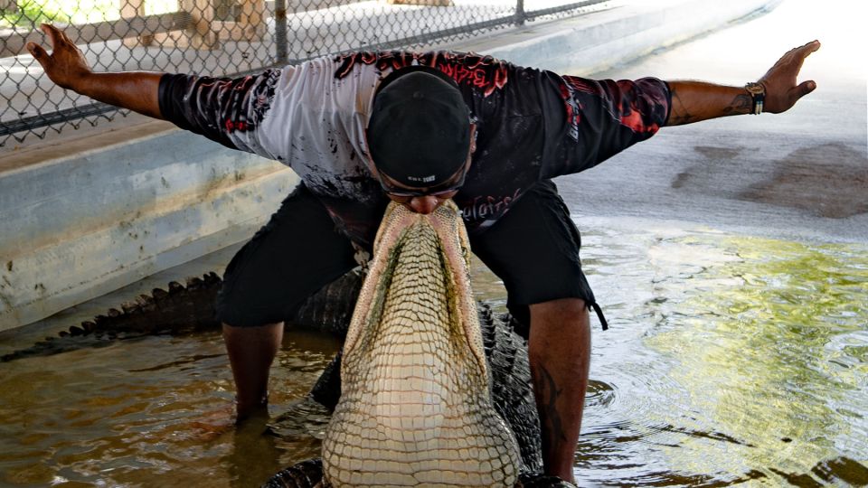 Everglades: Guided Kayak and Airboat Tour - Cypress Forests