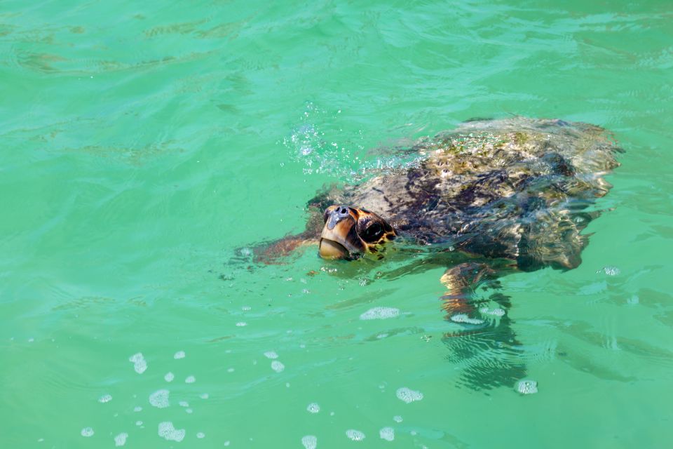 Exclusive Full Day Nature Expedition in Sian Kaan - Snorkeling in the Marine Reserve