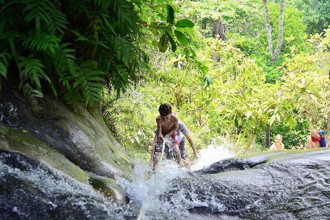 Experience Elephant Sanctuary + Sticky Waterfall - Accessibility and Participation