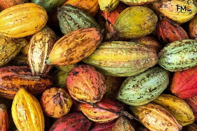 Exploring Cai Rang Floating Market, Cacao&The Hidden Small Canal - Cancellation Policy