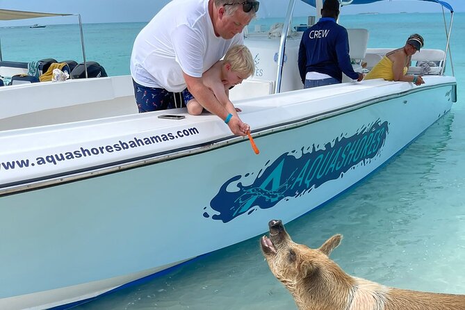 Exuma Powerboat Tour From Nassau With Swimming Pigs - Meeting Point and Time