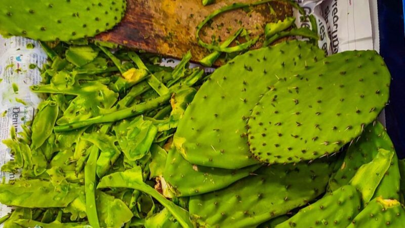 🟢Street Food Bike Tour Mexico City🟢 - Important Information