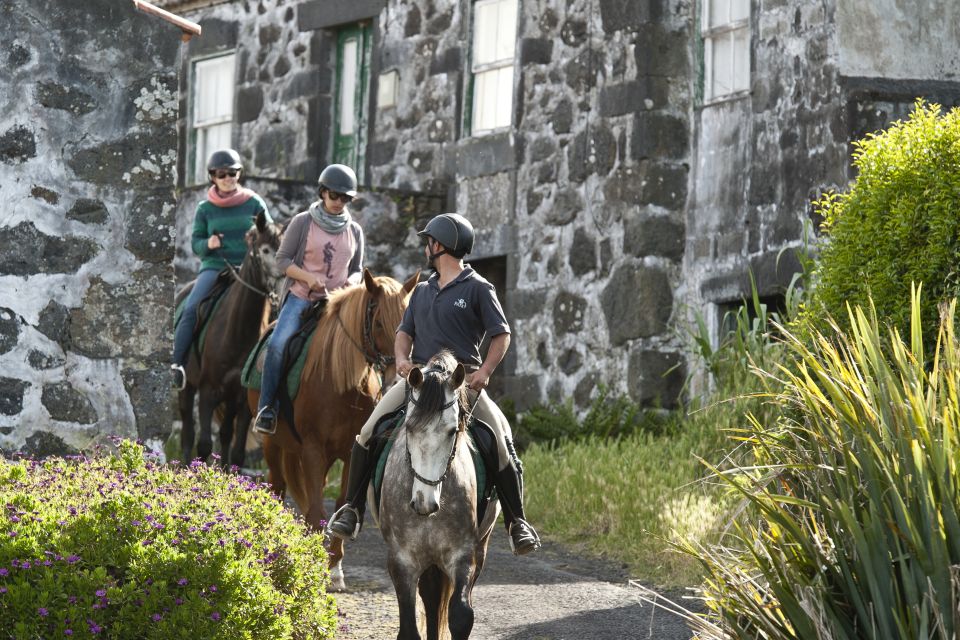 Faial Island: Horseback Riding on Lusitano Trail - Group Size and Languages Offered