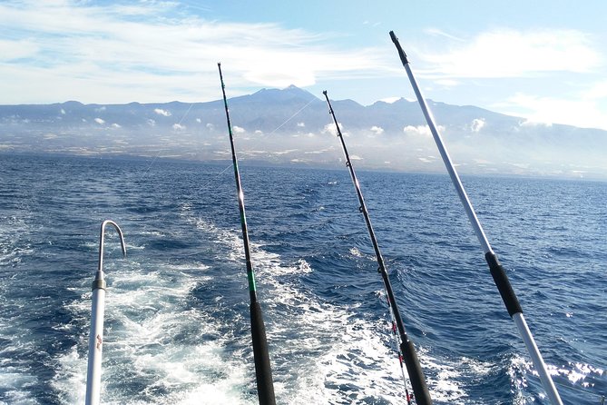 Fishing Trip, Tenerife Sea Passion - Cancellation Policy