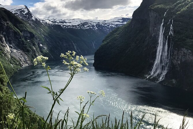 Fjord Cruise Ålesund Geiranger Fjord Round-Trip - Additional Information