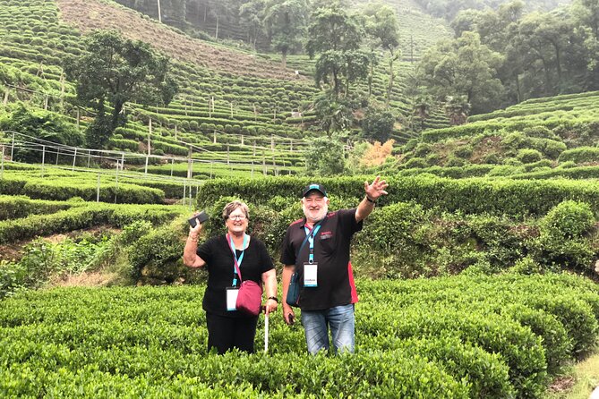 Flexible Hangzhou Private Tour From Shanghai by Bullet Train - Highlights and Features