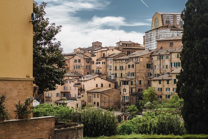 Florence to Tuscany: Chianti, Siena, San Gimignano & Wine +Lunch - Visiting San Gimignano