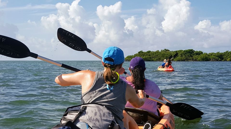 Florida Keys: Full-Day Kayak and Snorkel Reef Adventure - Guided Tour and Marine Biologist