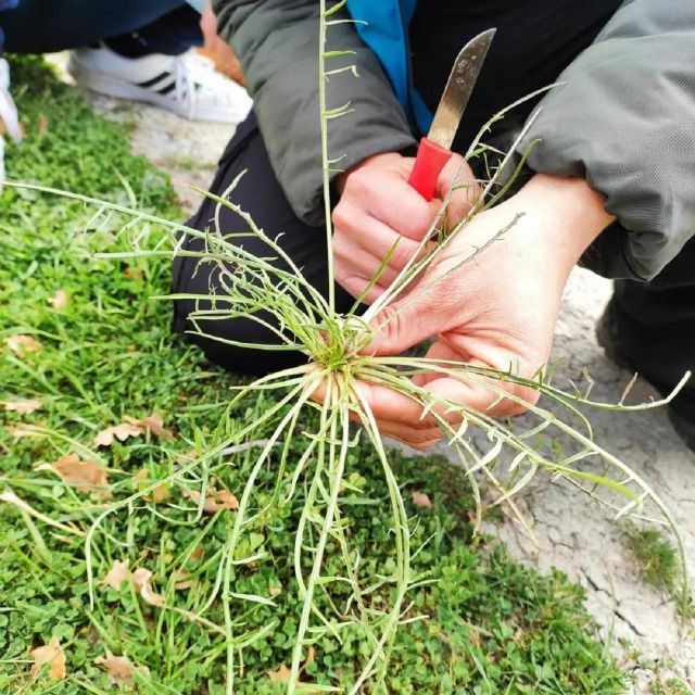 Foraging Tour in the Tuscan Countryside - Seasonal Variations