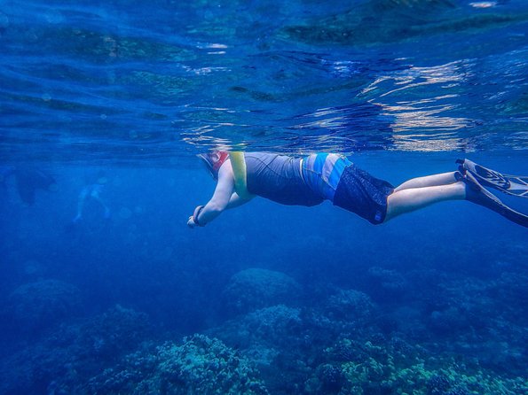 Four Winds II Molokini Snorkeling Tour From Maalaea Harbor - Catamaran Features and Activities