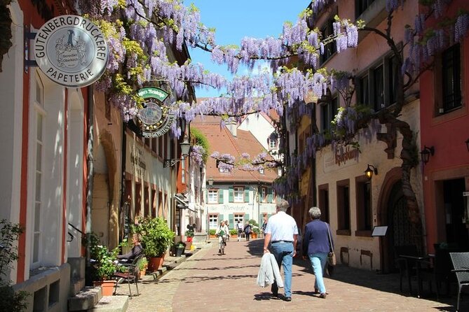 France, Germany and Switzerland Full Day Tour From Colmar - Accessibility Information