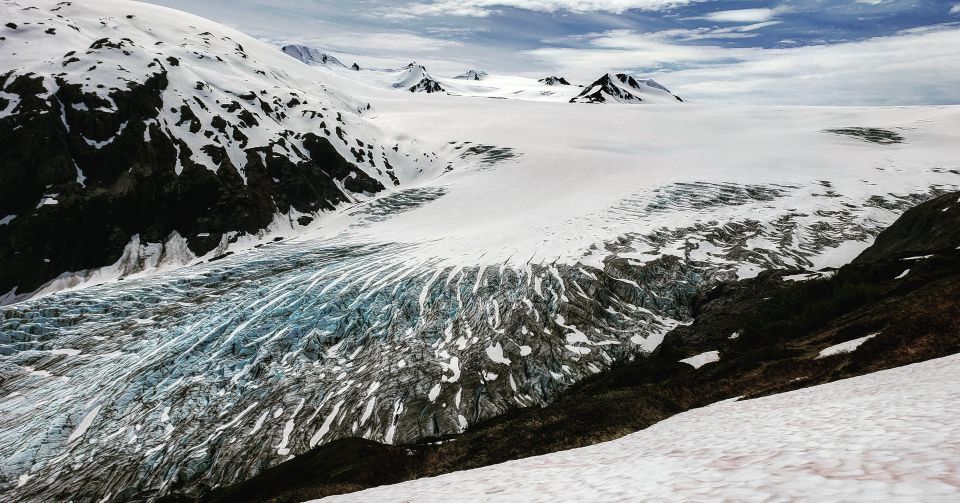 From Anchorage: 4-Day Seward and Kenai Camping & Hiking Tour - Day 2: Wildlife & Glaciers