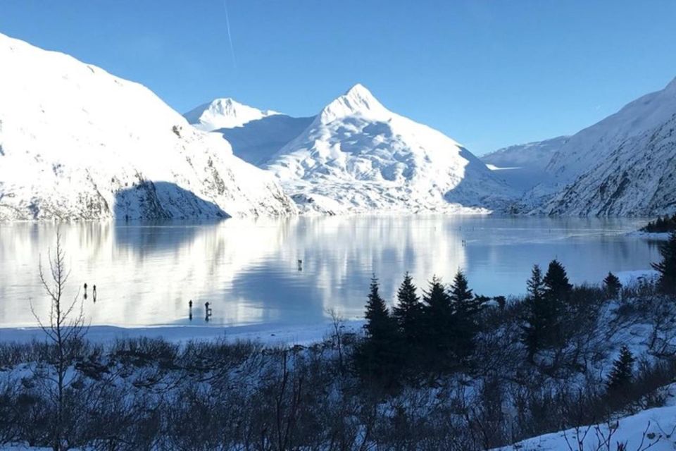 From Anchorage: Alaska Wildlife Center & Turnagain Arm Tour - Discovering Potter Marshs Ecosystem