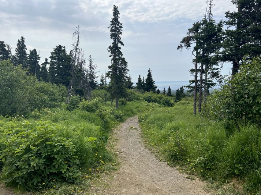 From Anchorage: Chugach State Park Walk With Naturalist - Accessibility Considerations
