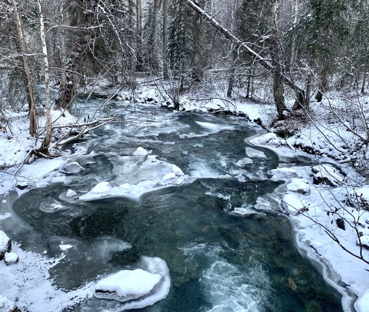 From Anchorage: Chugach State Park Winter Walking Tour - Boreal Forest Flora and Fauna