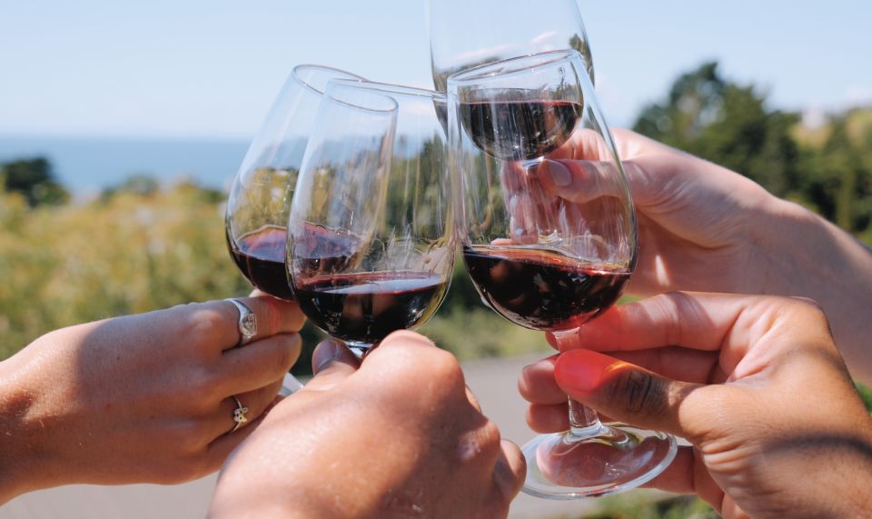 From Auckland: Waiheke Island Wine Cellar Tour - Booking Information