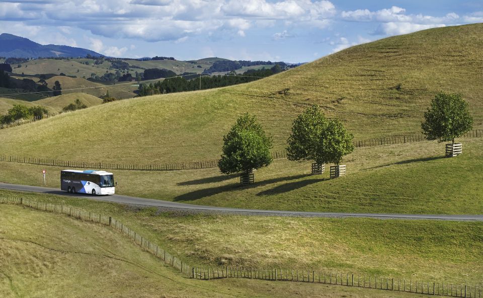 From Auckland: Waitomo & Hobbiton Bus Tour With Lunch - Booking Procedure