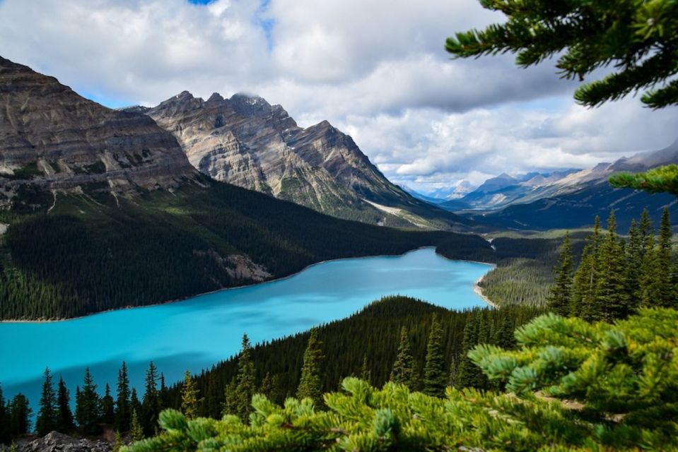 From Banff: Icefields Parkway Small Group Adventure - Admiring Bow Lake