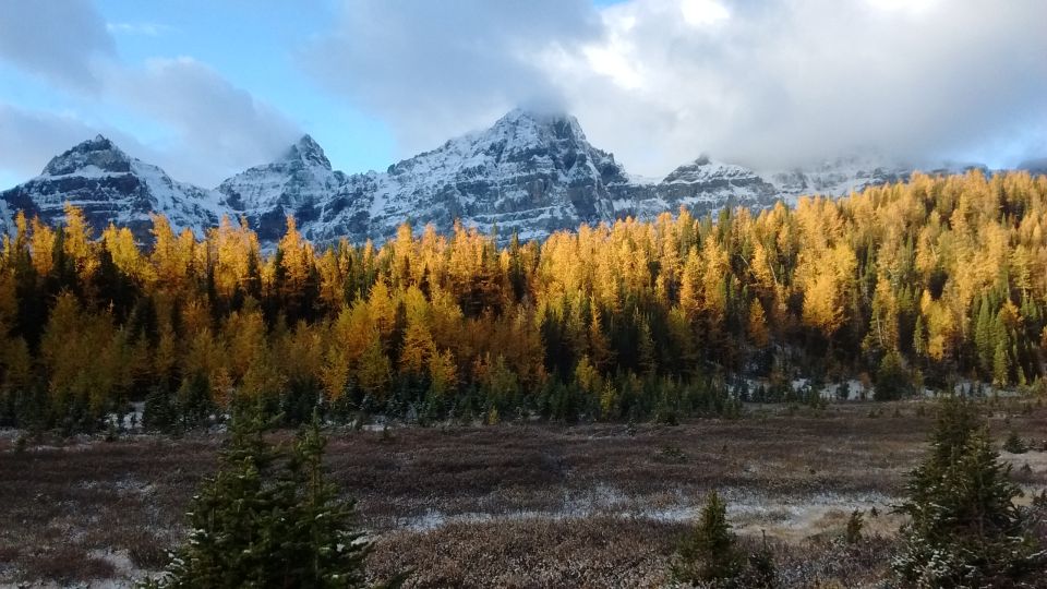 From Banff or Lake Louise: Moraine Lake & Larch Valley Hike - Suitability and Restrictions