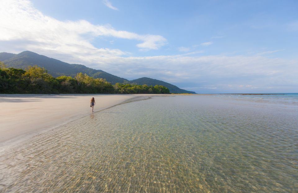 From Cairns: Daintree Wilderness & Cape Tribulation Bus Tour - Tour Inclusions