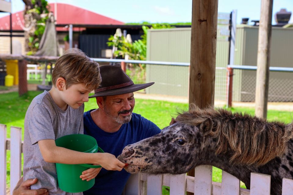 From Cairns: Kuranda Day Trip With Petting Zoo and Quad Ride - Experience