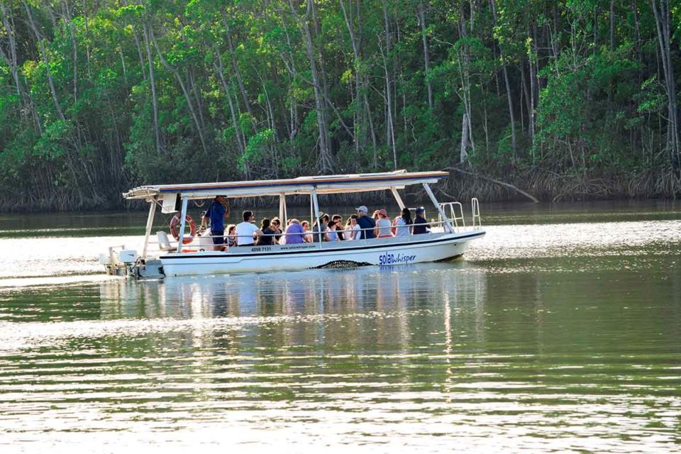 From Cairns: Mossman Gorge Tour & Daintree Rainforest Cruise - Inclusions