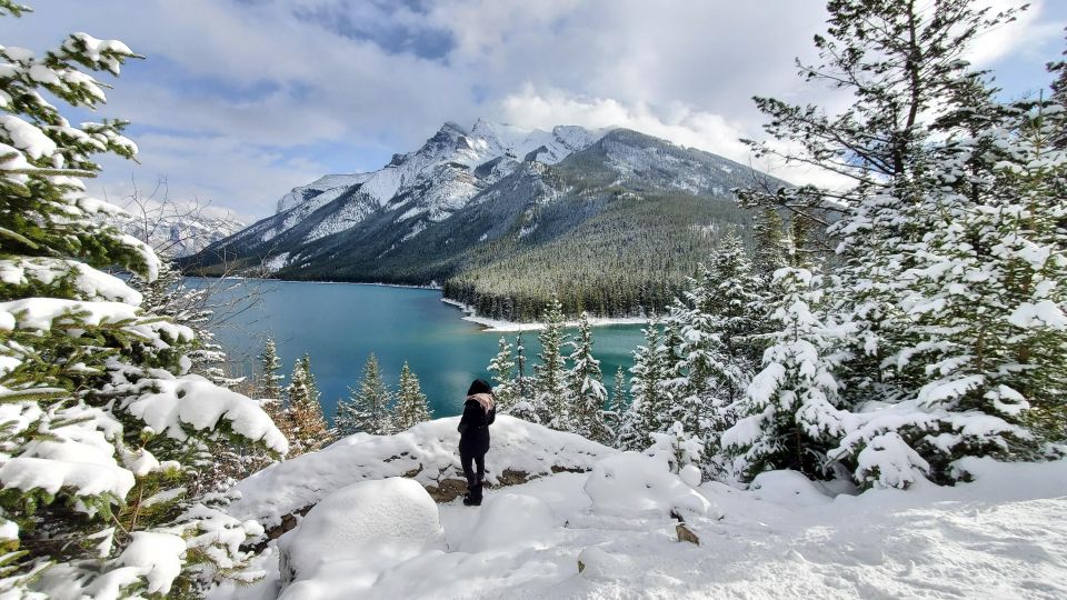 From Calgary: Banff National Park Day Trip - Memorable Activities