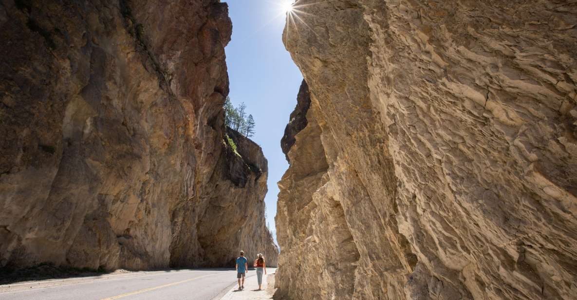 From Calgary: Kootenay National Park Day Trip - Transportation