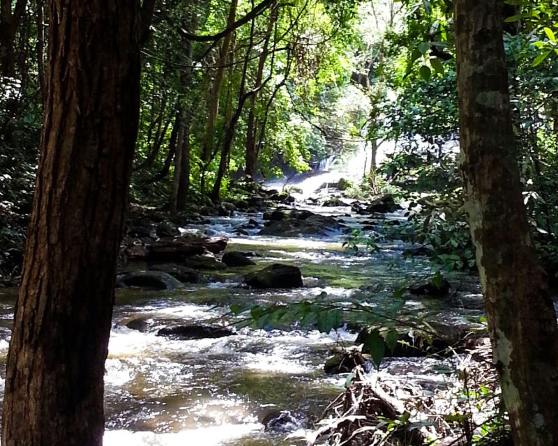 From Chiang Mai: Doi Inthanon National Park Day Trip & Hike - Hmong Market