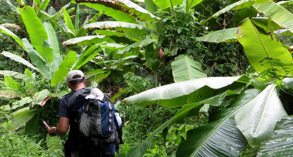 From Chiang Mai: High Mountain Day Trek - Exploring the Local Village