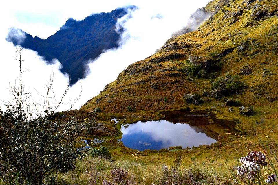 From Cusco: 7-Day Trek to Machu Picchu Through Inca Trail - Inclusions