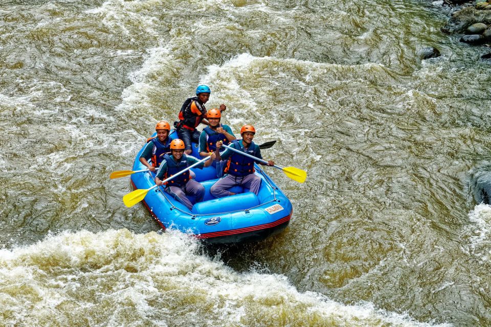 From Cusco: Inca Jungle Adventure and Trek 3 Days 2 Nights - Day 2: Santa Teresa - Hydroelectric - Aguas Calientes