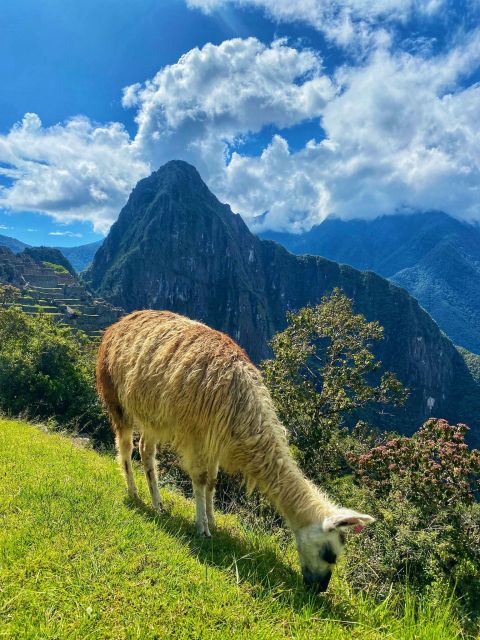 From Cusco: Machu Picchu Full-Day Group Tour - Excluded From the Tour