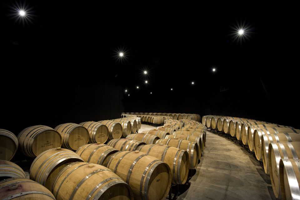 From Florence Private: Bolgheri Wine Tour With Tasting - Taste Signature Wines at Each Winery