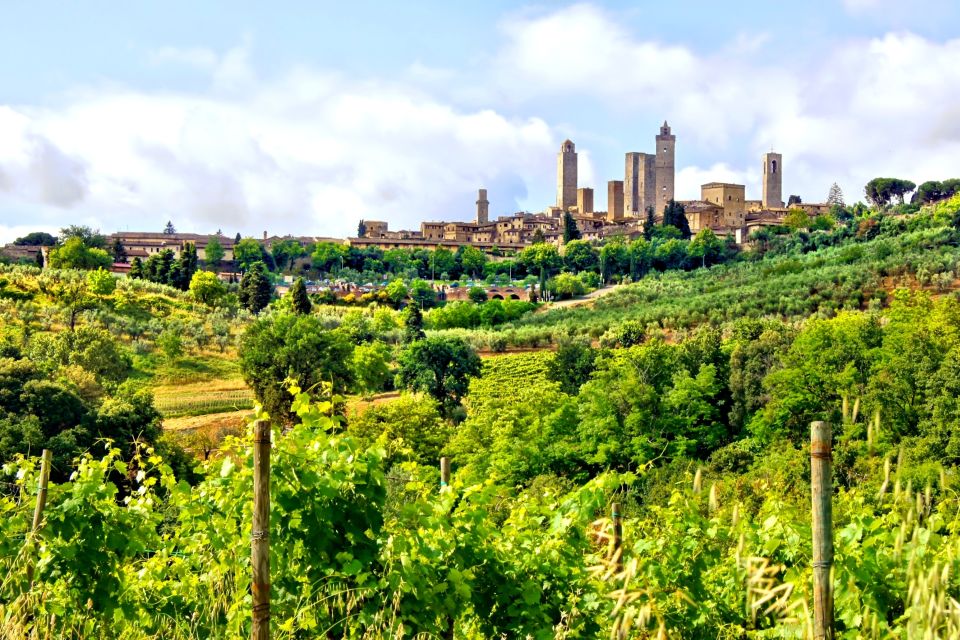 From Florence: Private Pisa, Siena and San Gimignano Trip - Background