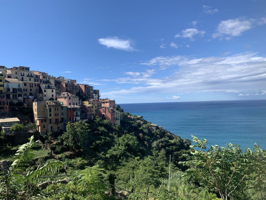 From Florence: Private Roundtrip Transfer to Cinque Terre - Important Information