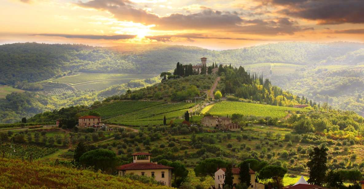 From Florence: Private Wine Tour With Dinner on an Estate - Private Transportation and Pickup Service