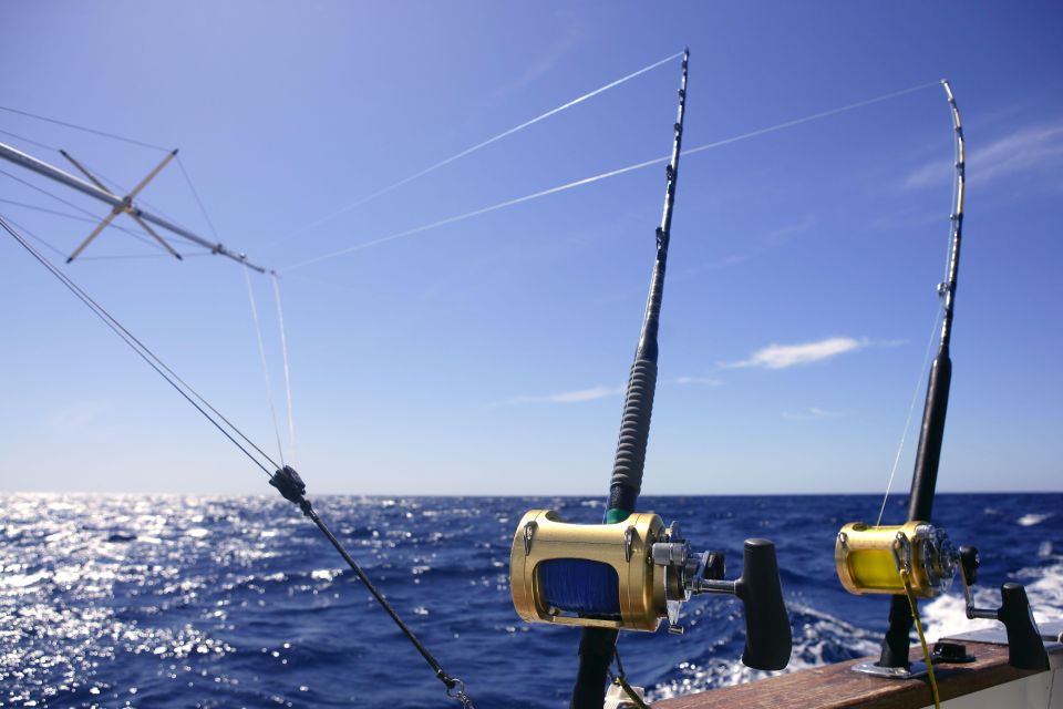 From Funchal : Big Game Fishing Boat Trip - Fishing Techniques and Catch