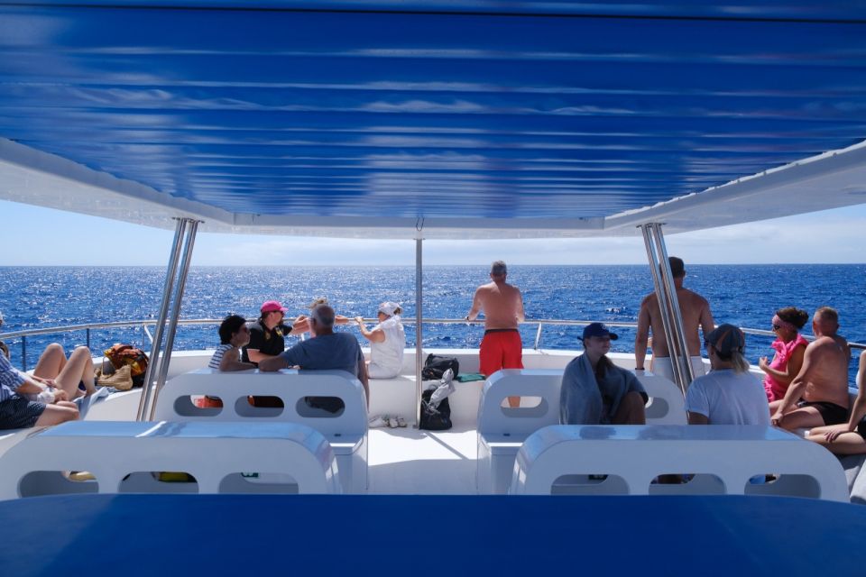 From Funchal: Ecological Catamaran Dolphin Whale Watching - Guided Commentary