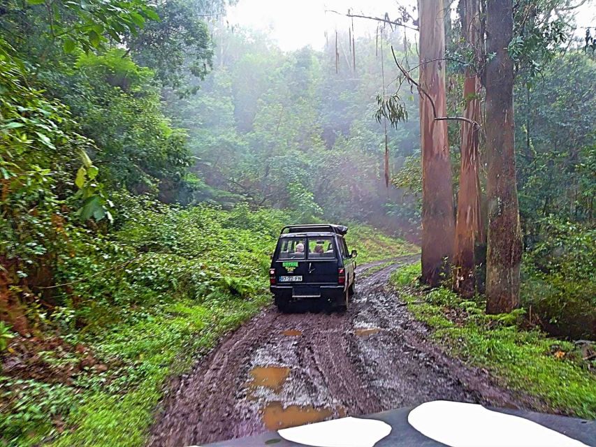 From Funchal: Full-Day Jeep Safari Tour - Swim in Porto Moniz Pools