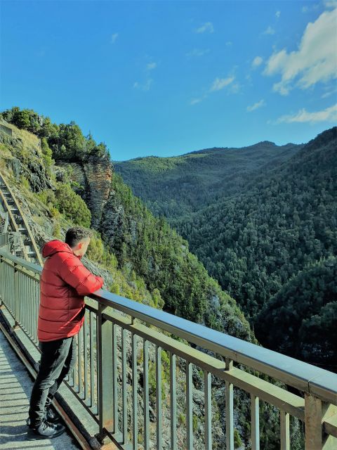 From Hobart: Gordon Dam and Lake Pedder Wilderness Day Tour - Experience