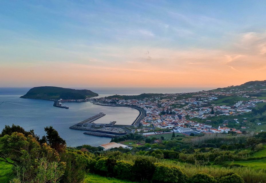 From Horta: Guided Faial Island Tour - Capelinhos Volcano