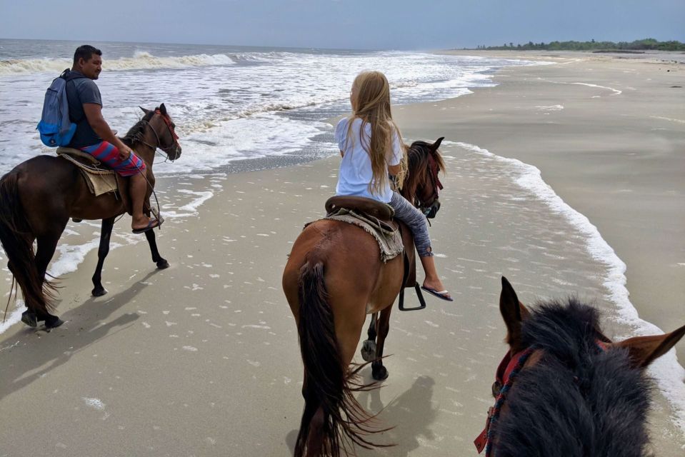 From Huatulco: Beach Horseback Riding Experience - Transportation Options