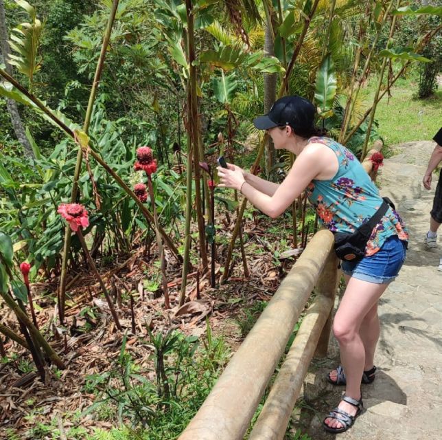 From Huatulco: Coffee Private Experience - Photo Opportunities