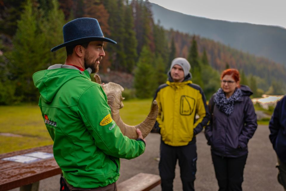 From Jasper: Jasper National Park Wildlife Discovery Tour - Group Size and Photography Guidelines