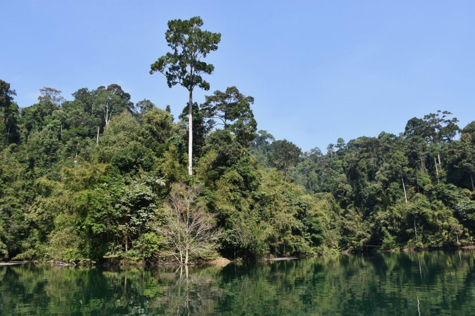 From Krabi: Cheow Lan Lake Cruise and Khao Sok Jungle Hike - Inclusions