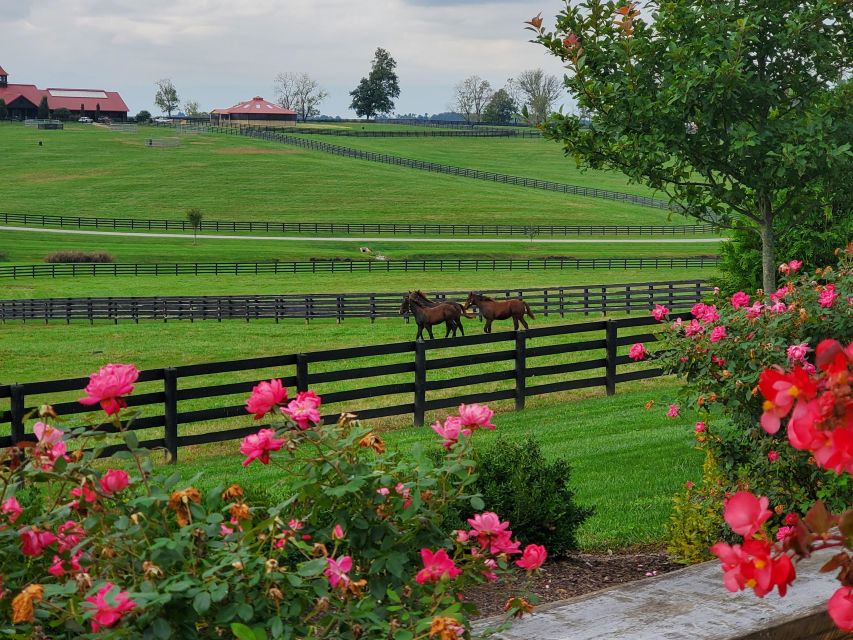 From Lexington: Kentucky Horse Farms Tour - Visiting KatieRich Farms