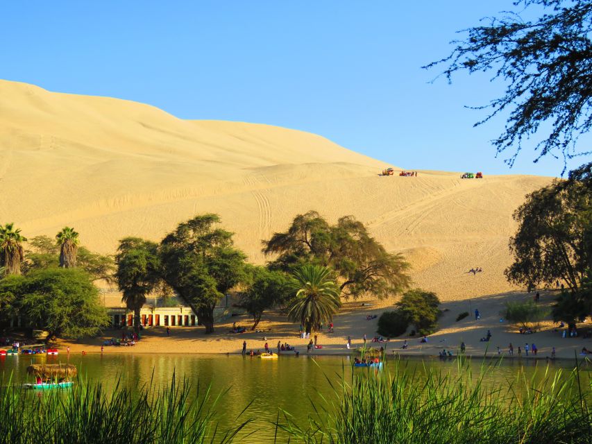 From Lima: Ballestas Islands & Huacachina Oasis & Buggy Tour - Thrilling Dune Buggy Rides