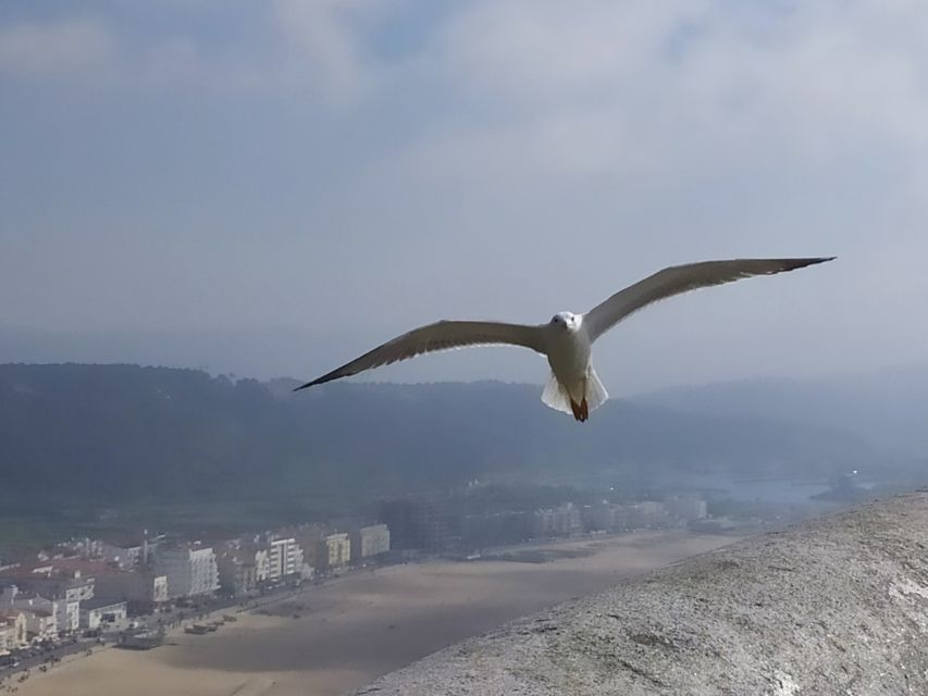 From Lisbon: Private Óbidos and Nazaré Tour - Tasting the Ginginha Liqueur