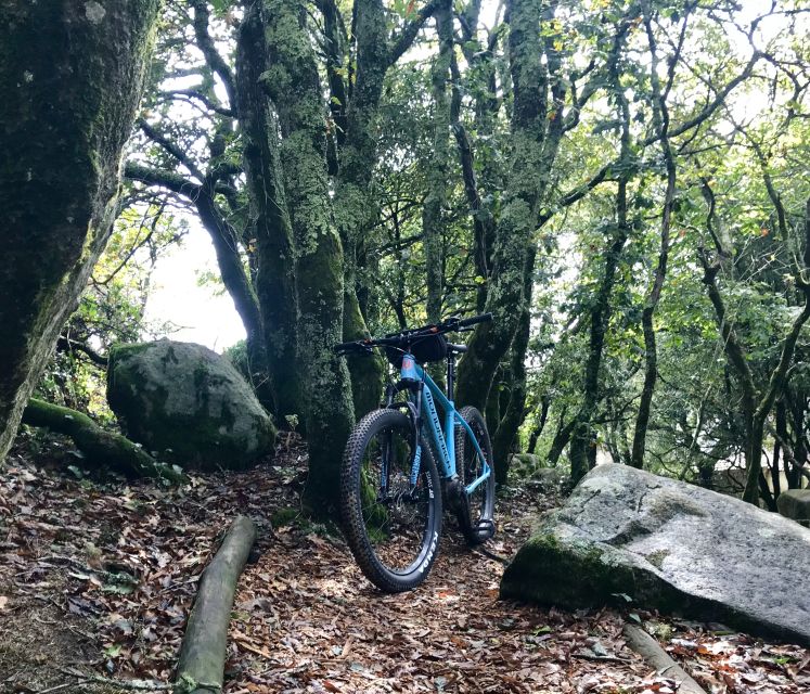 From Lisbon: Sintra Bike Tour With Lunch and 2 Attractions - Exploring the Village of Sintra